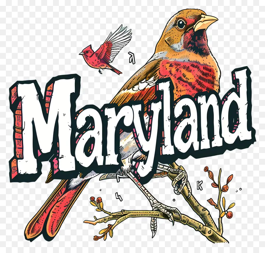 Maryland，Rouge Cardinal Oiseau PNG