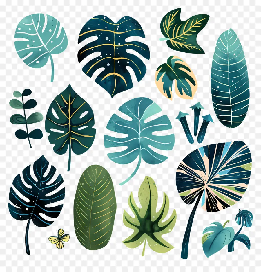 Monstera，Feuilles Tropicales PNG