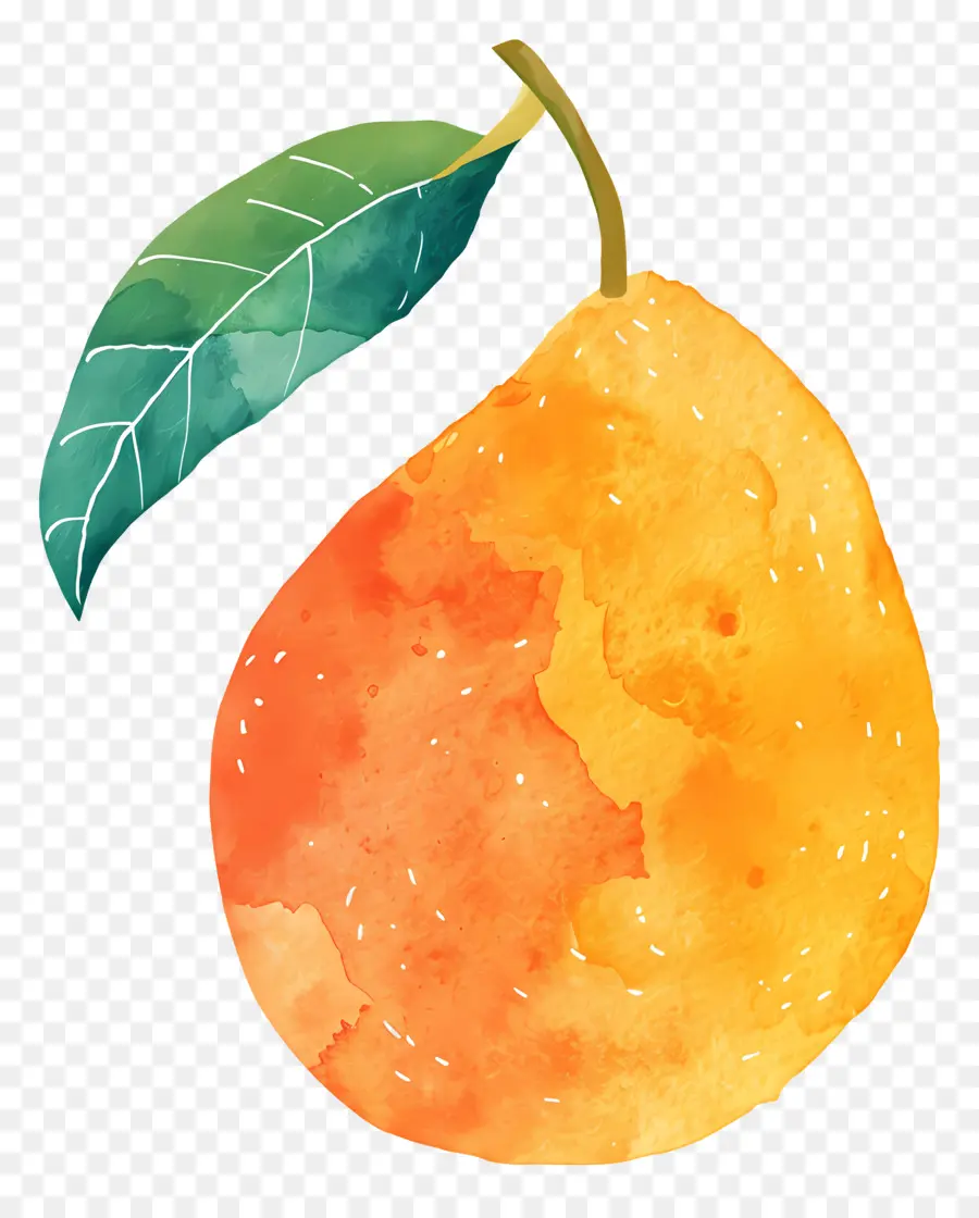 La Mangue，L'orange Bien Mûre PNG