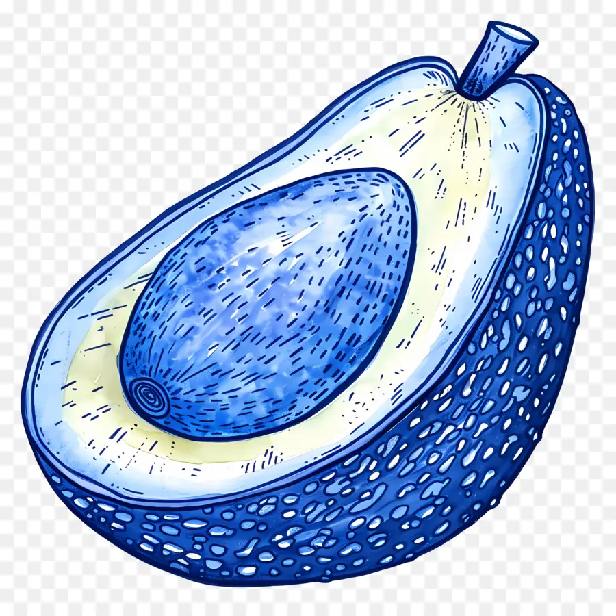 Avocat，Avocat Bleu PNG