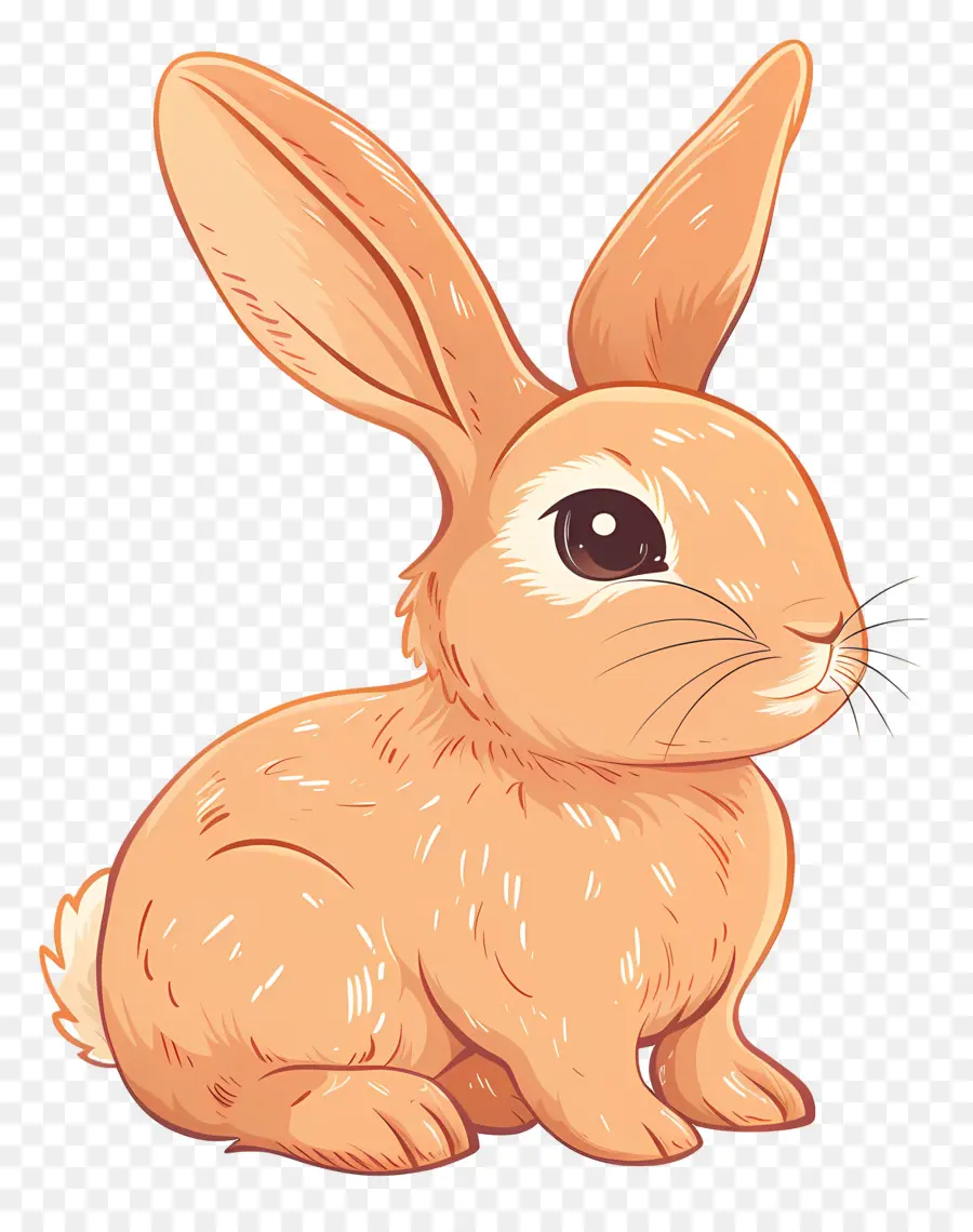 Lapin Mignon，Lapin PNG