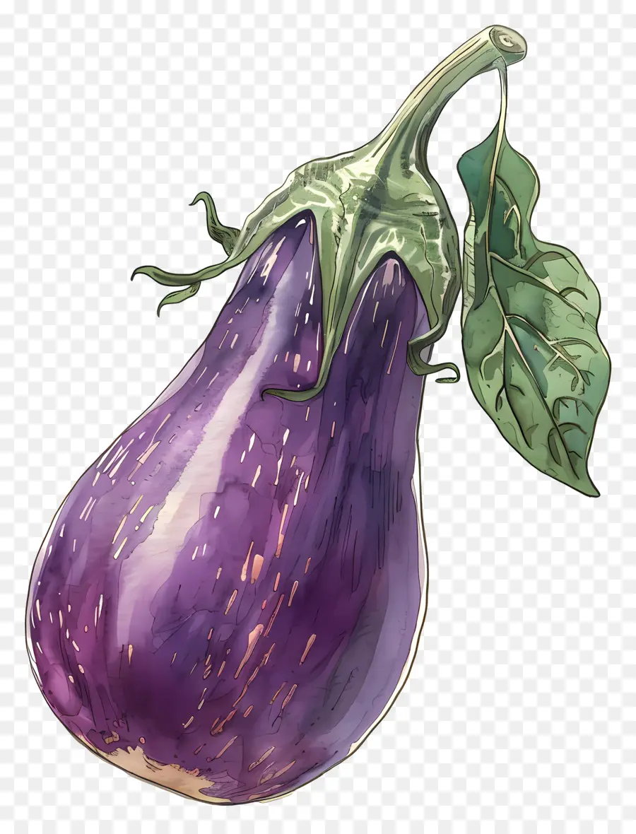 Aubergine，Violet PNG