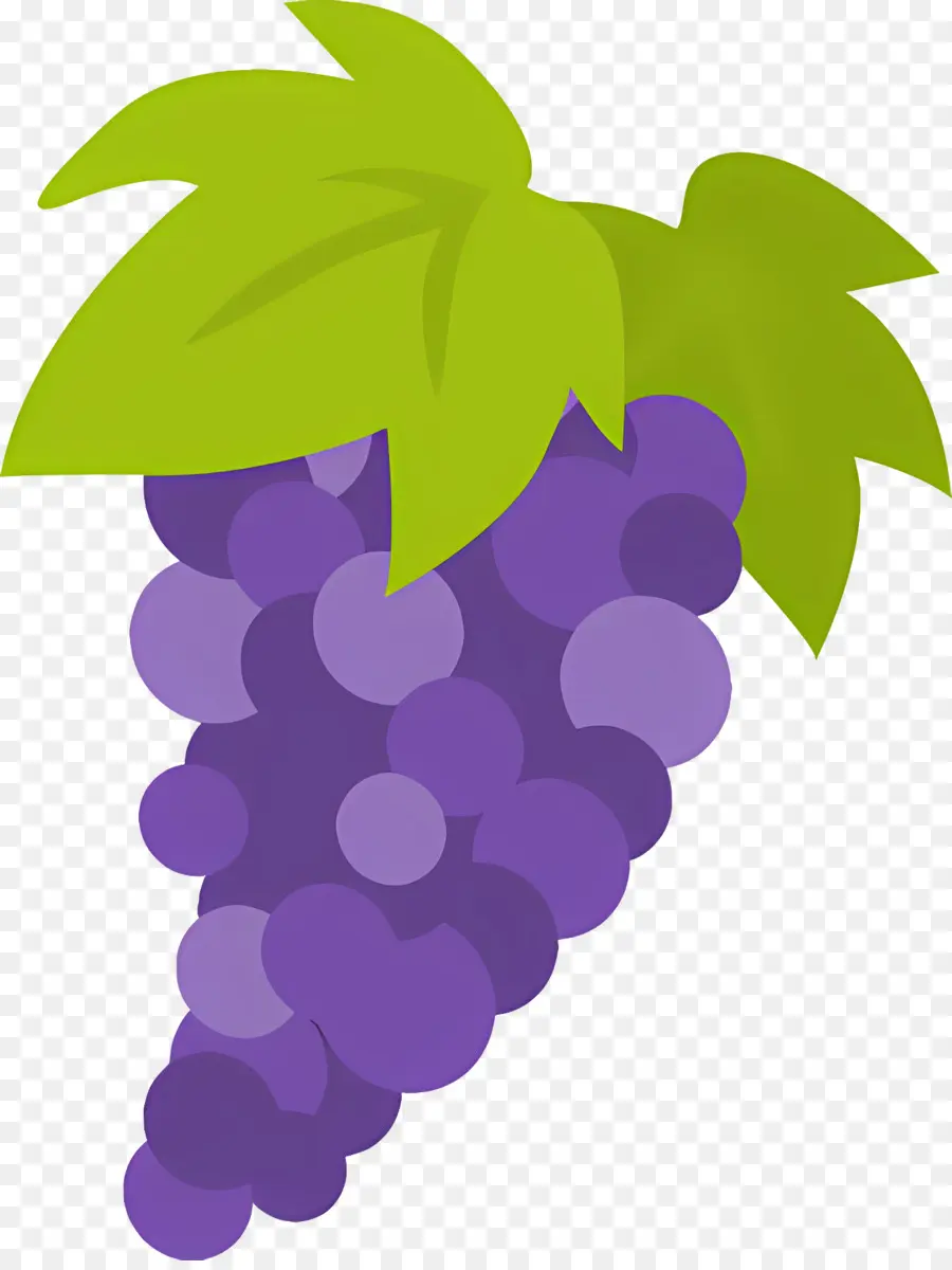 Fruit，Raisins PNG