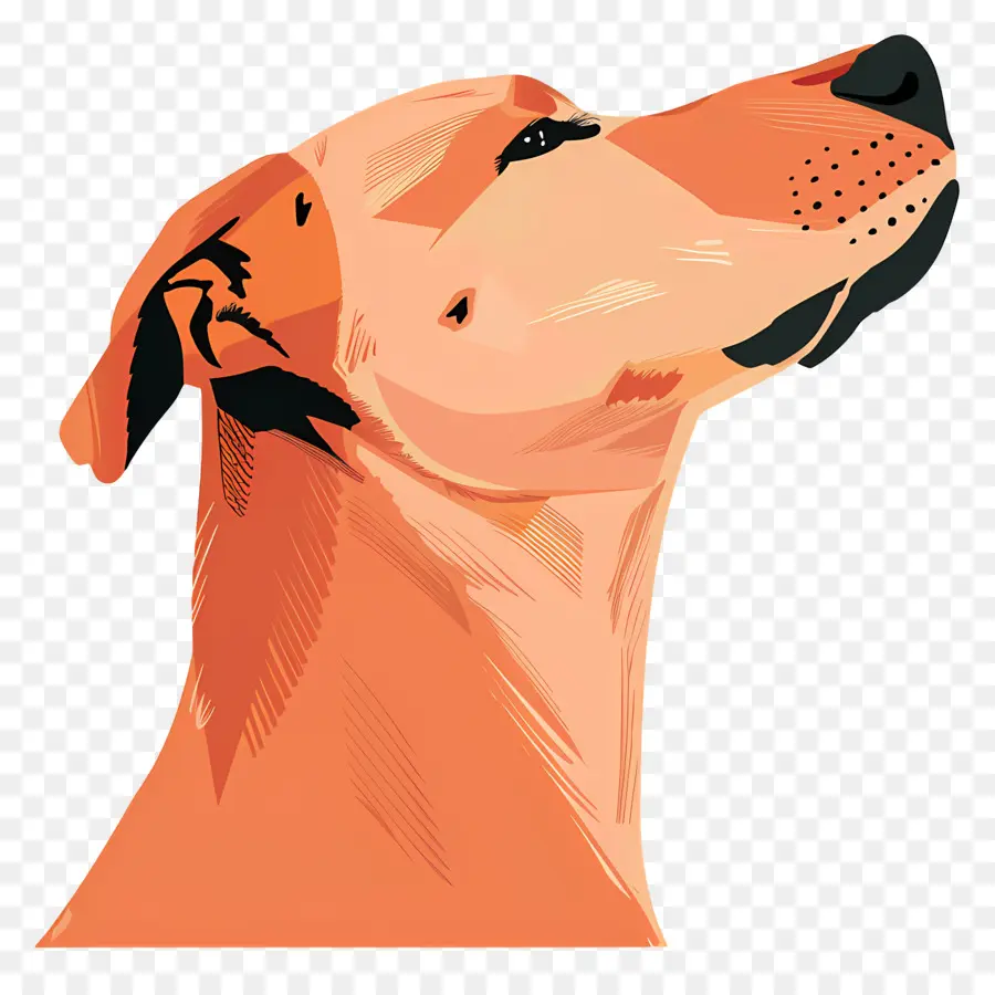 Tête De Chien，Profil De Chien PNG