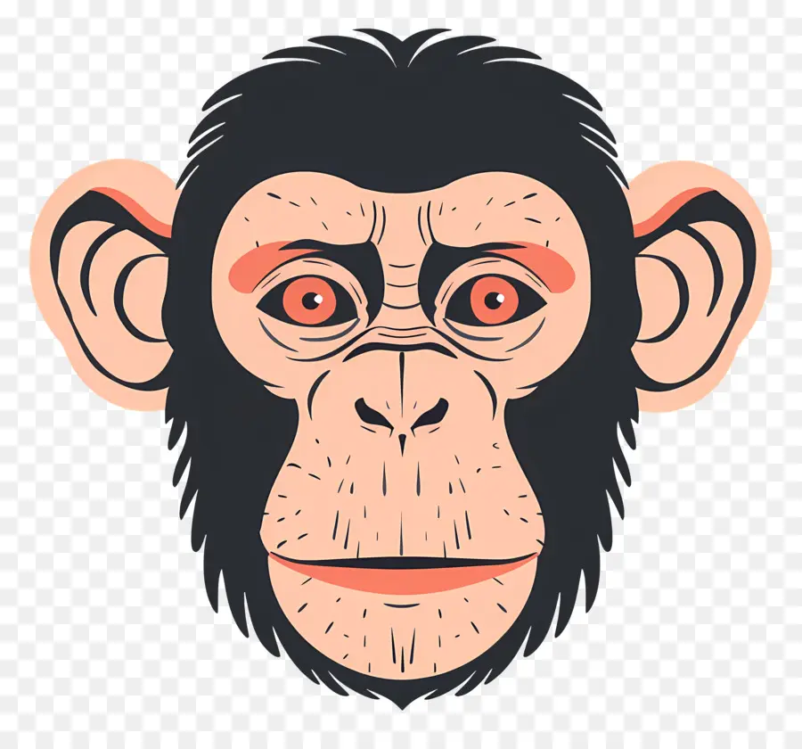 Tête De Singe，Chimpanzé PNG