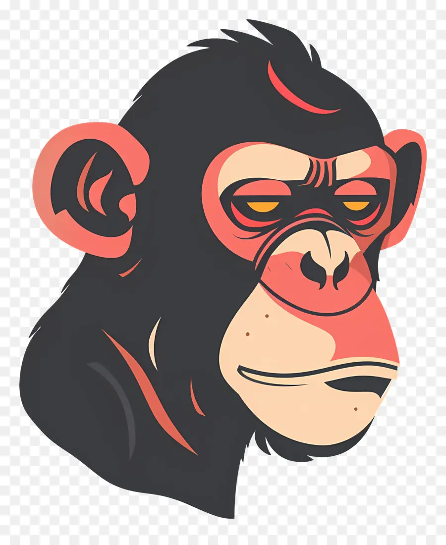 Tête De Singe，Visage De Singe PNG