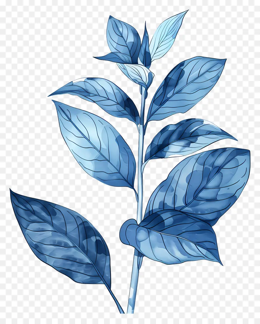 Feuille Bleue，Feuilles Bleues PNG