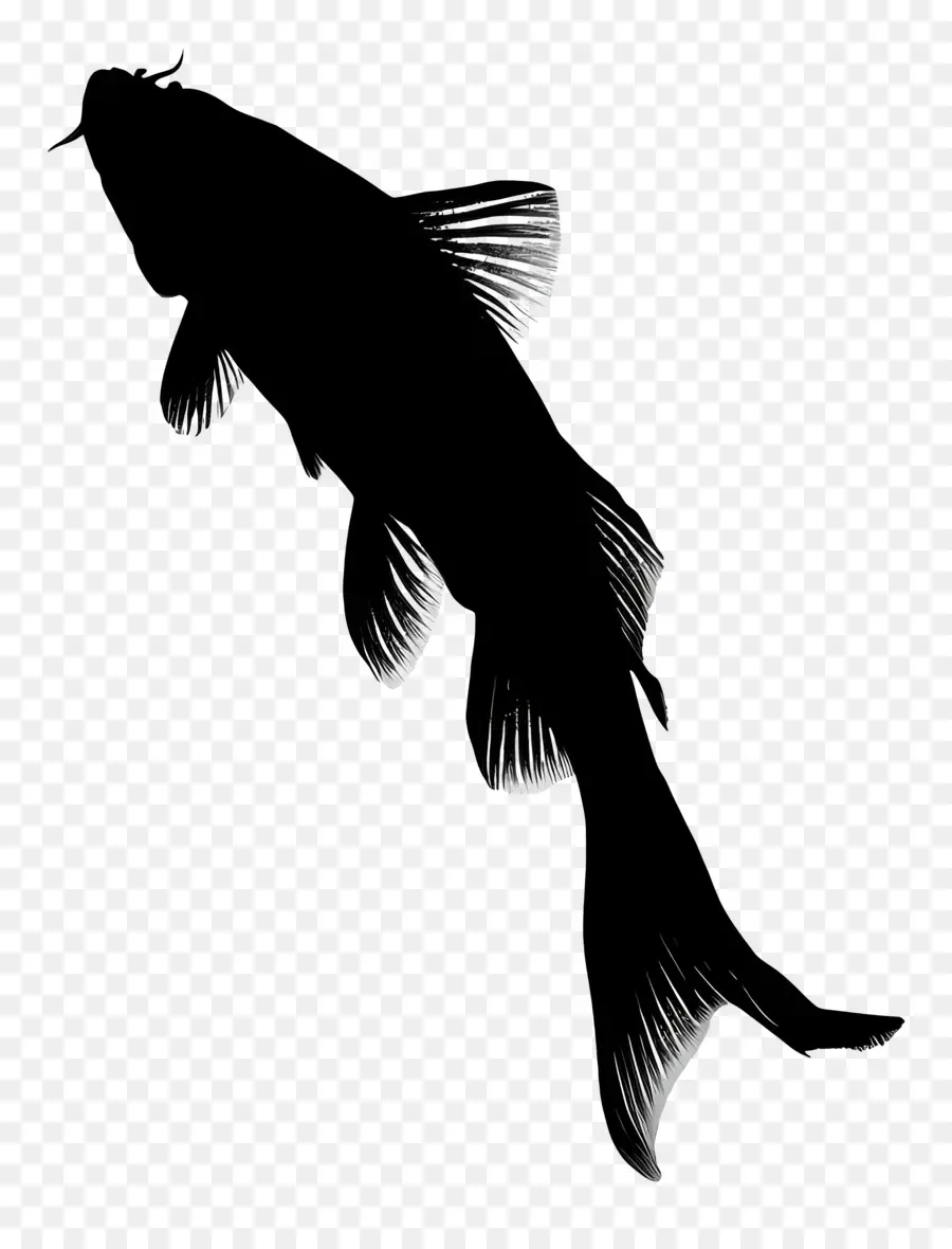 Silhouette De Poisson，Aquatique PNG