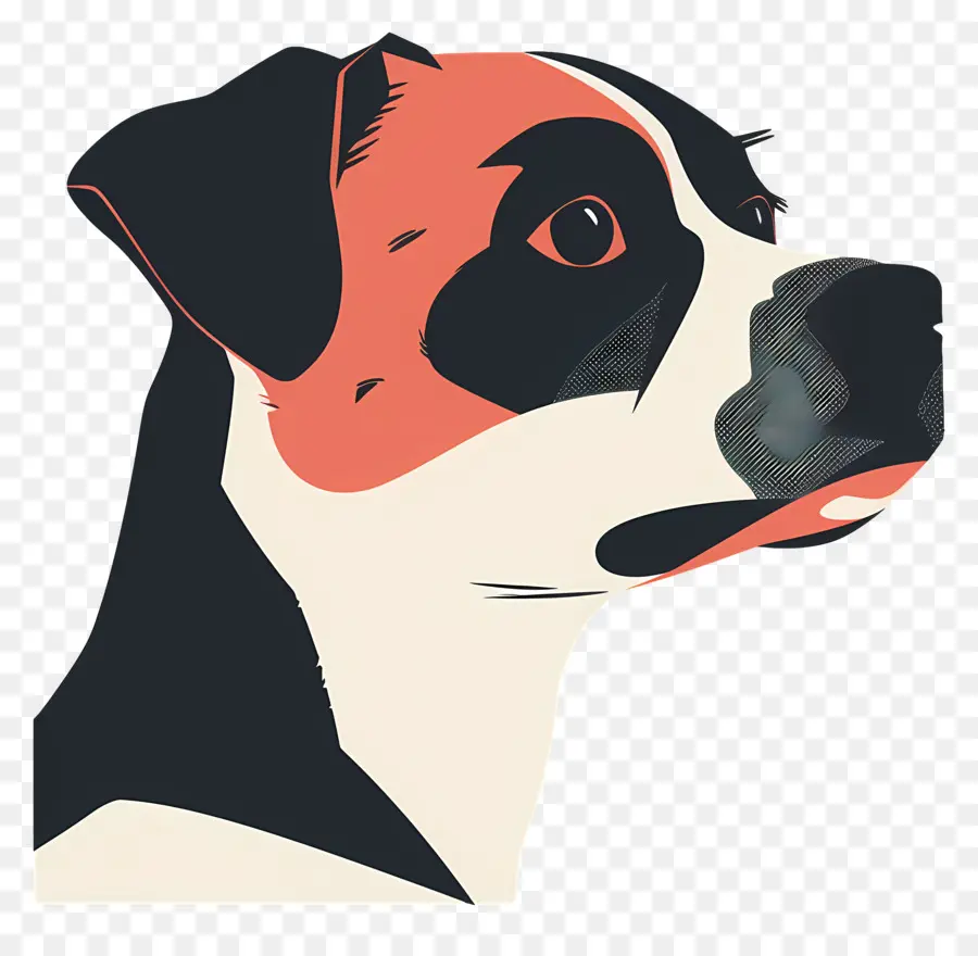 Tête De Chien，Chien PNG