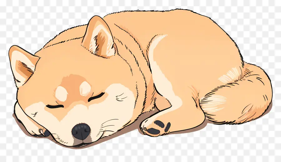 Chien Mignon，Chien Endormi PNG