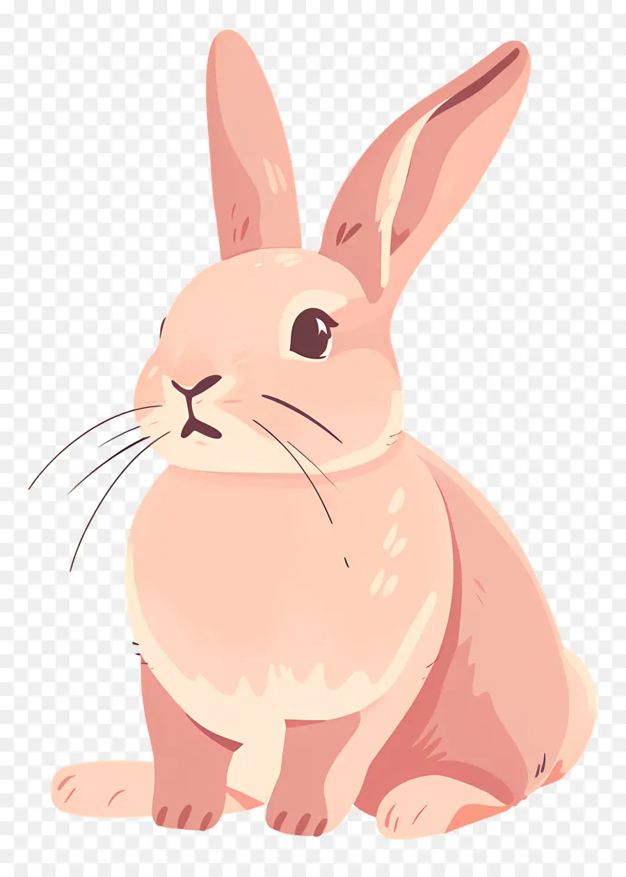 Lapin Mignon，Lapin Gris PNG