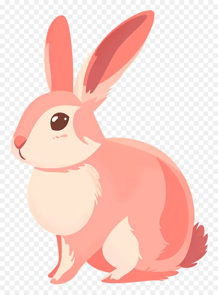 Lapin Mignon，Lapin PNG