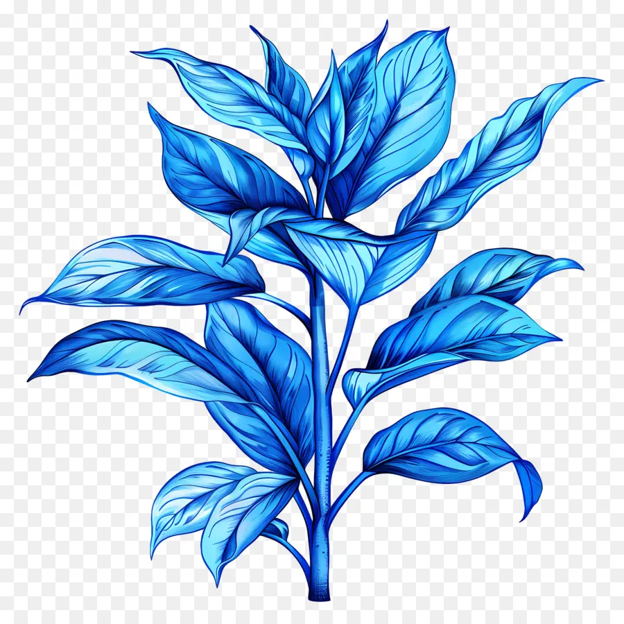 Feuille Bleue，Plante Bleue PNG