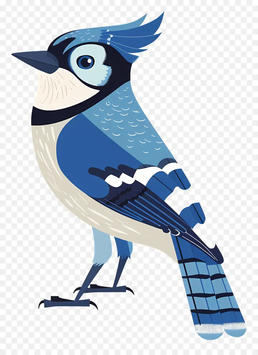 Geai Bleu，Oiseau PNG