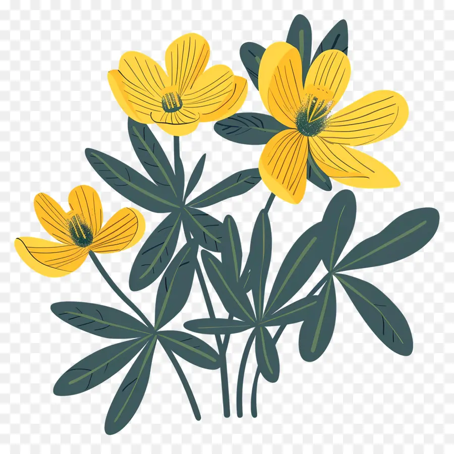 Aconit D'hiver，Fleurs Jaunes PNG