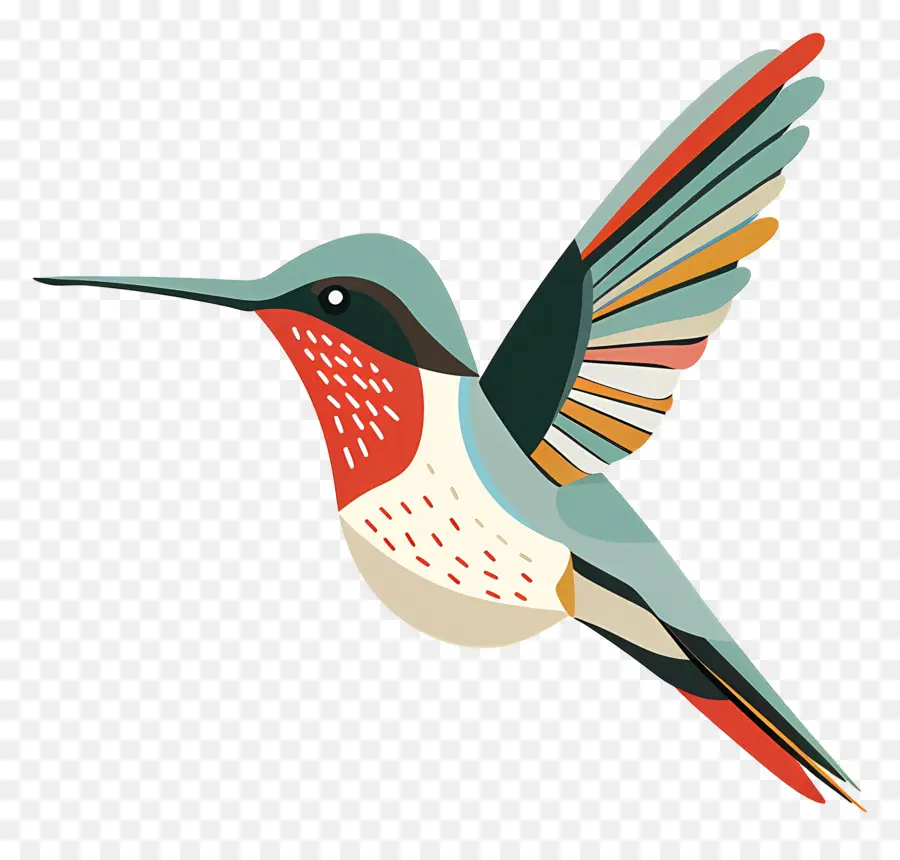 Colibri De Dessin Animé，Colibri PNG