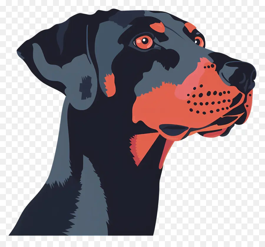 Tête De Chien，Profil De Chien PNG