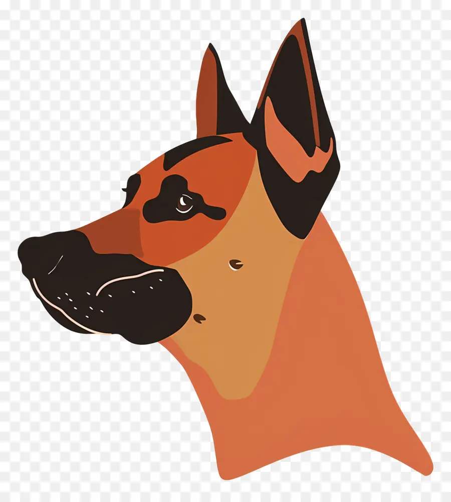 Tête De Chien，Chien PNG