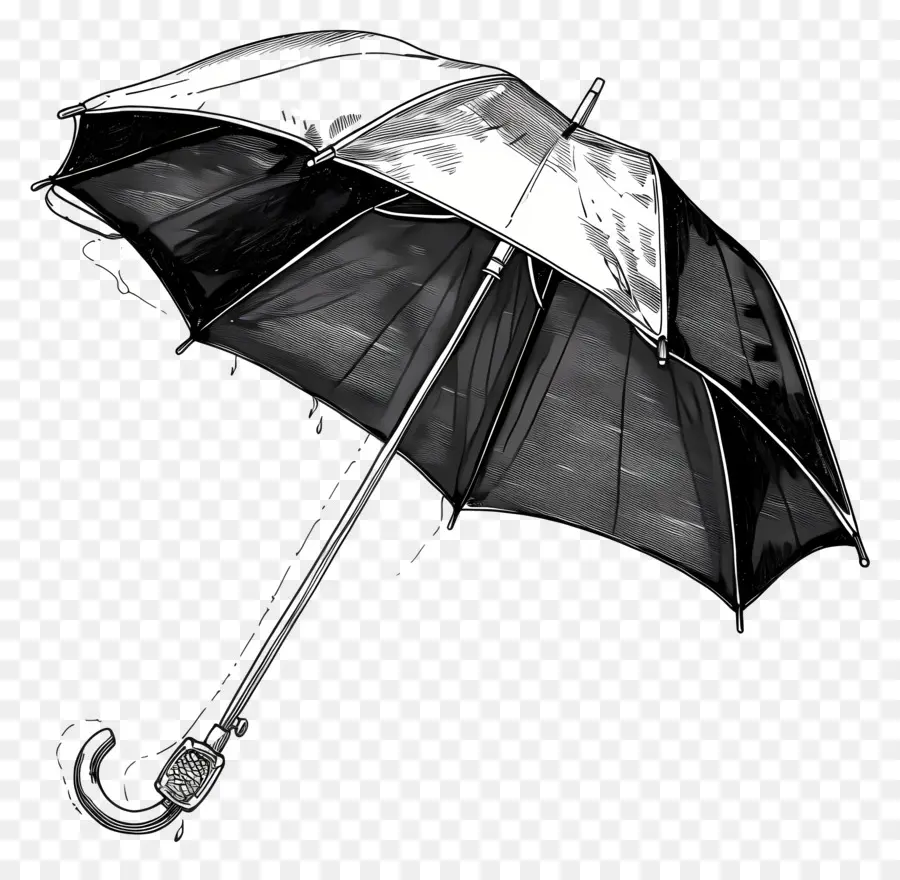 Parapluie，Parapluie Rayé PNG