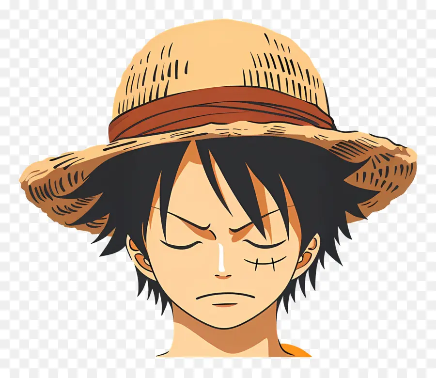 Tête De Luffy，Personnage De Chapeau De Paille PNG