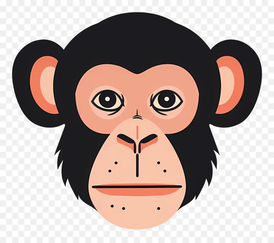 Tête De Singe，Visage De Singe PNG