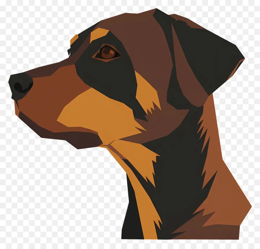 Tête De Chien，Profil De Chien PNG