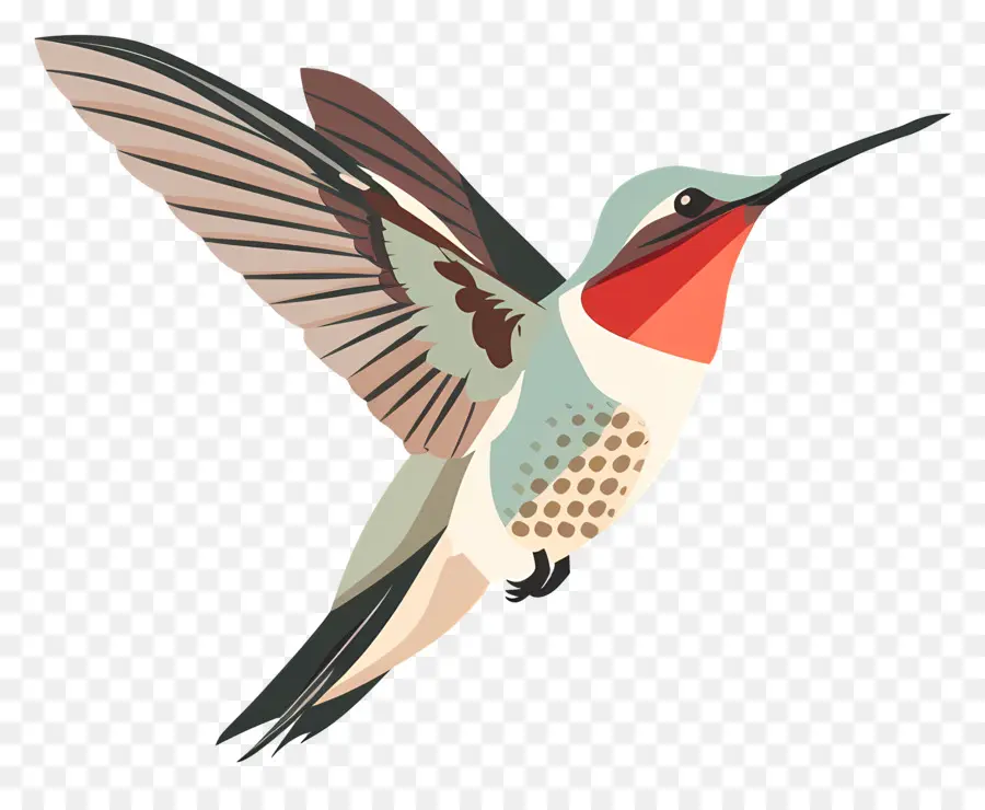 Colibri De Dessin Animé，Colibri PNG