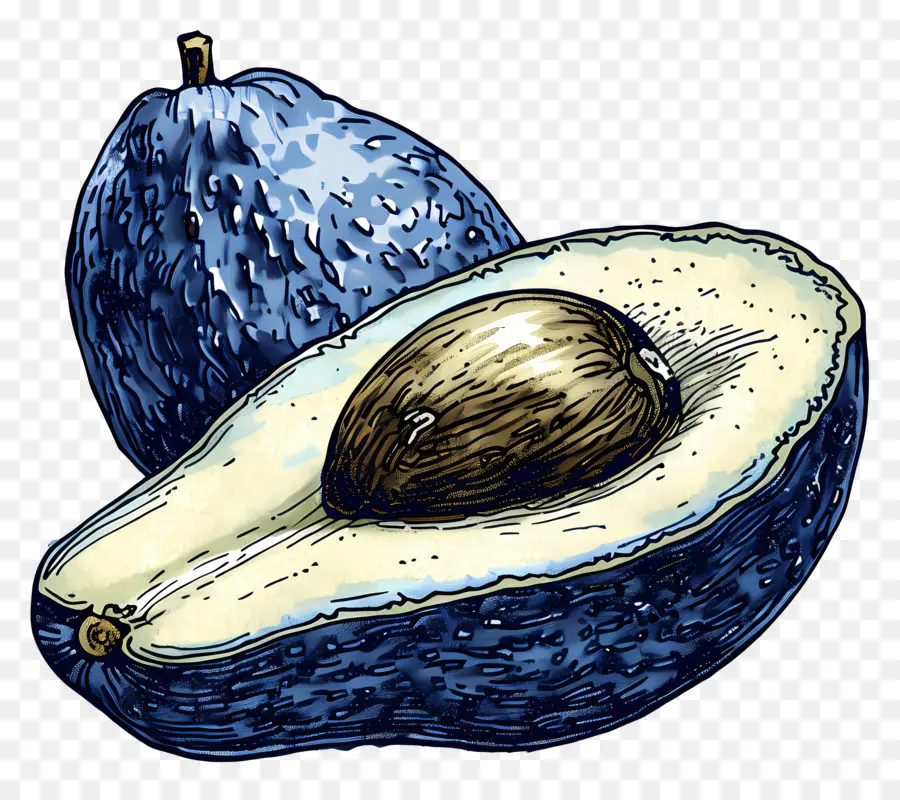 Avocat，Moitié PNG