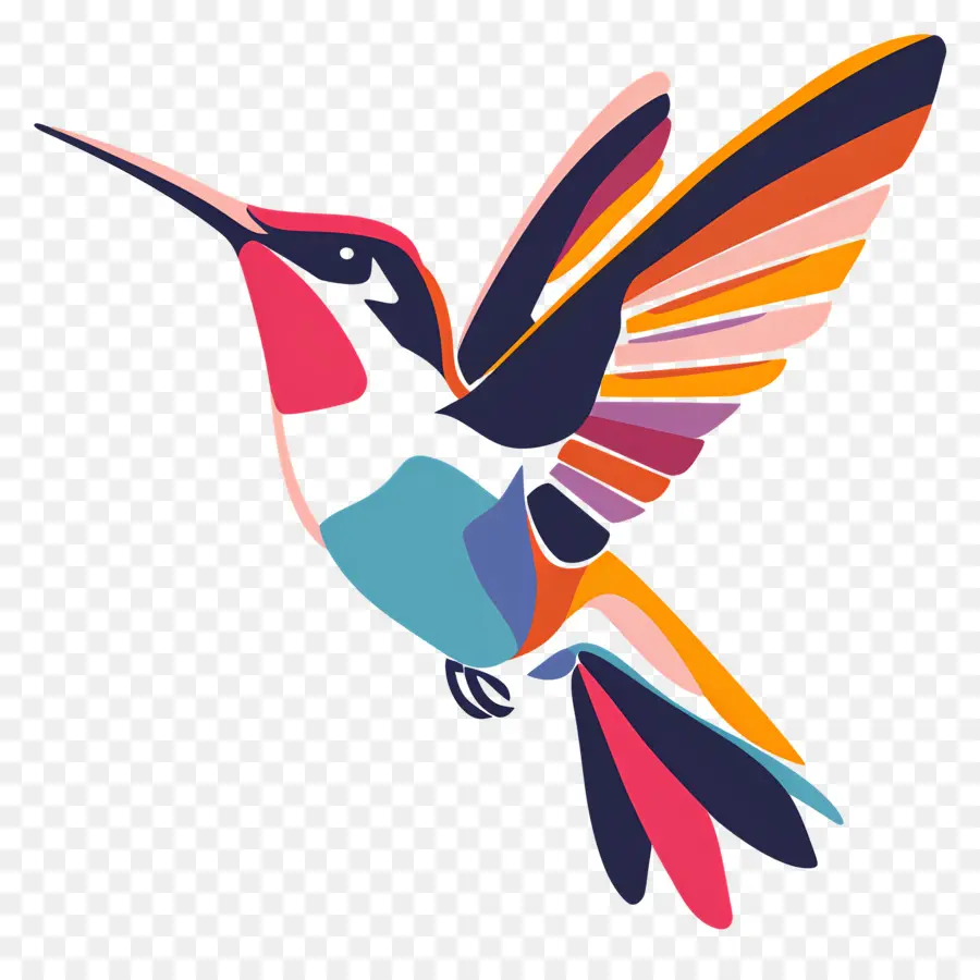 Colibri De Dessin Animé，Colibri PNG