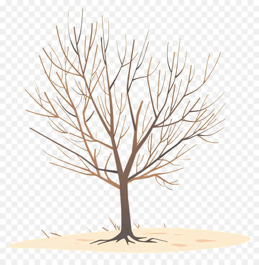 Arbre De Dessin Animé，Arbre Nu PNG