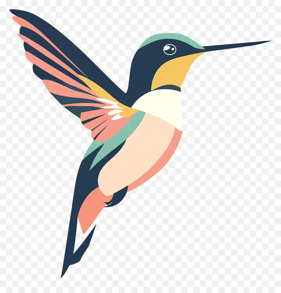 Colibri De Dessin Animé，Colibri PNG