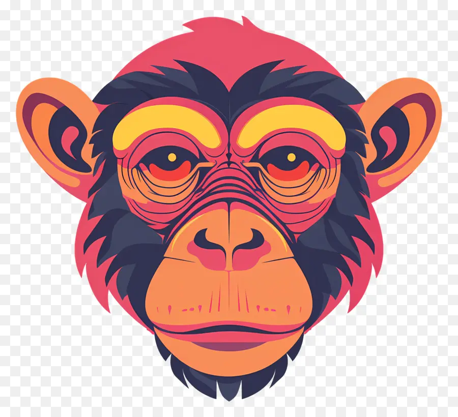 Tête De Singe，Visage De Singe PNG