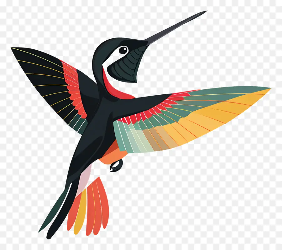 Colibri De Dessin Animé，Colibri PNG