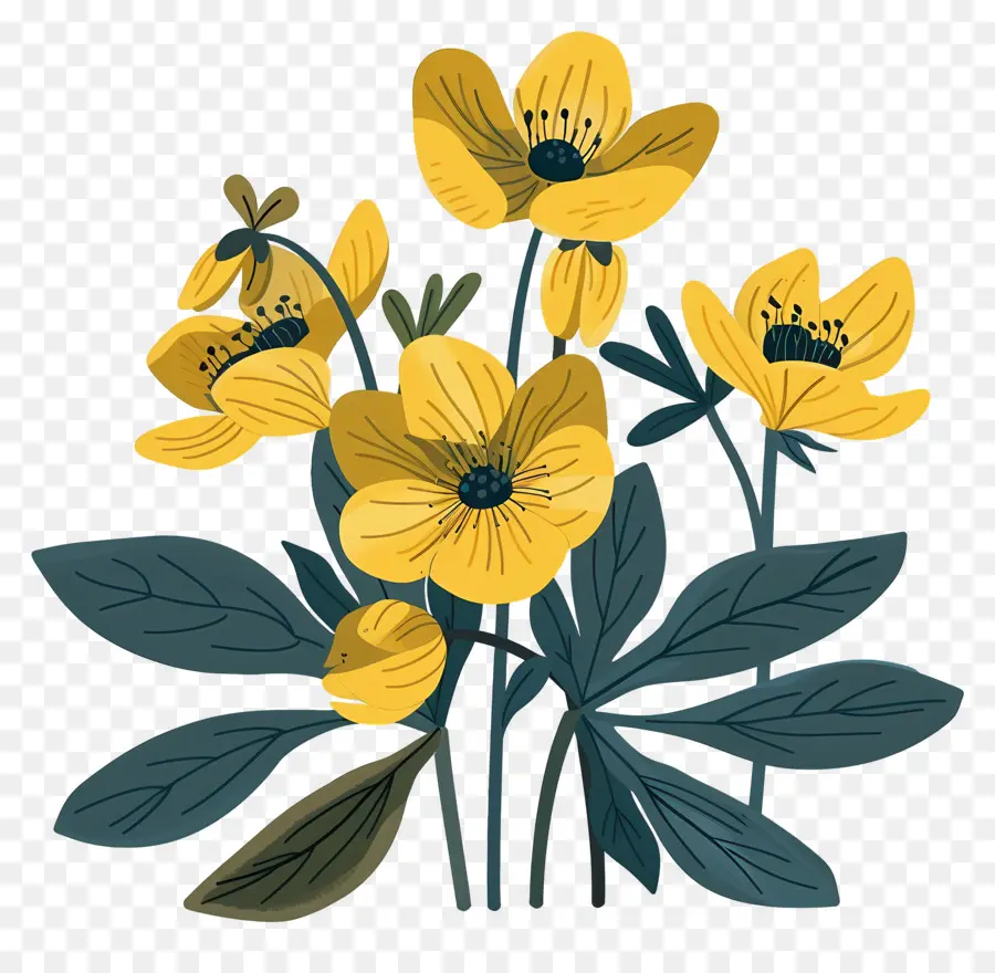 Aconit D'hiver，Fleurs Jaunes PNG