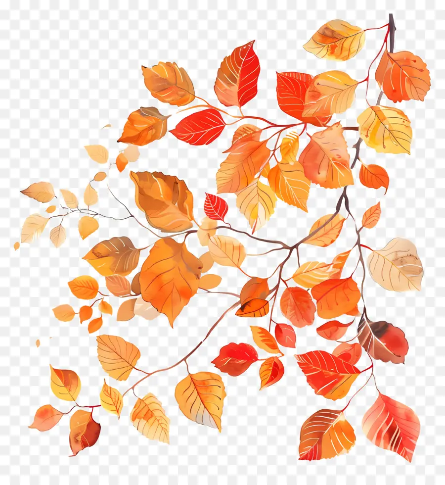 Feuillage D'automne，Peinture à L'aquarelle PNG