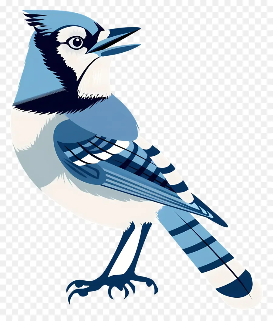 Geai Bleu，Oiseau PNG