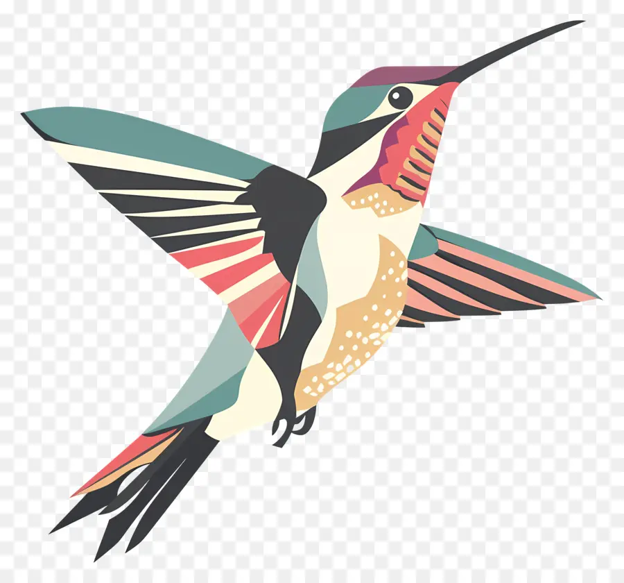 Dessin Animé Colibri，Colibri PNG