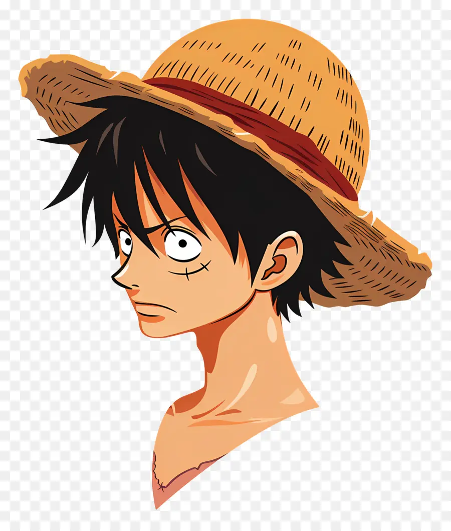 Tête De Luffy，Personnage D'anime PNG