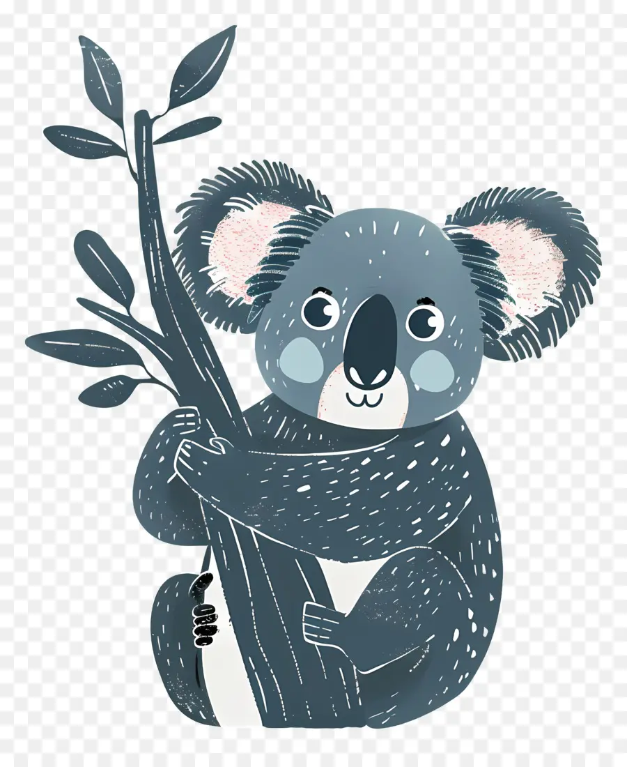 Koala De Dessin Animé，Koala PNG