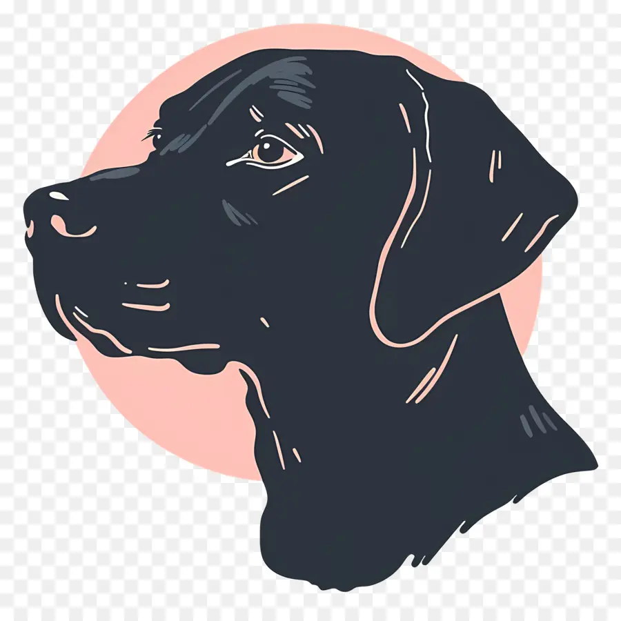 Tête De Chien，Chien PNG