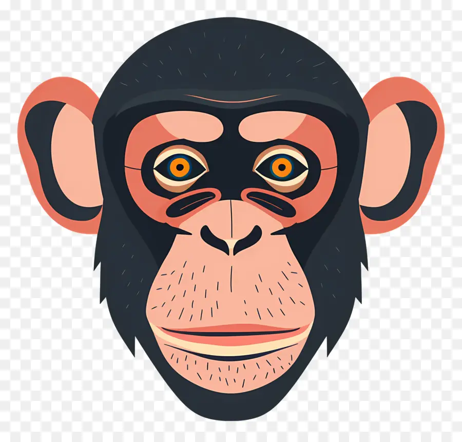 Tête De Singe，Visage De Singe PNG