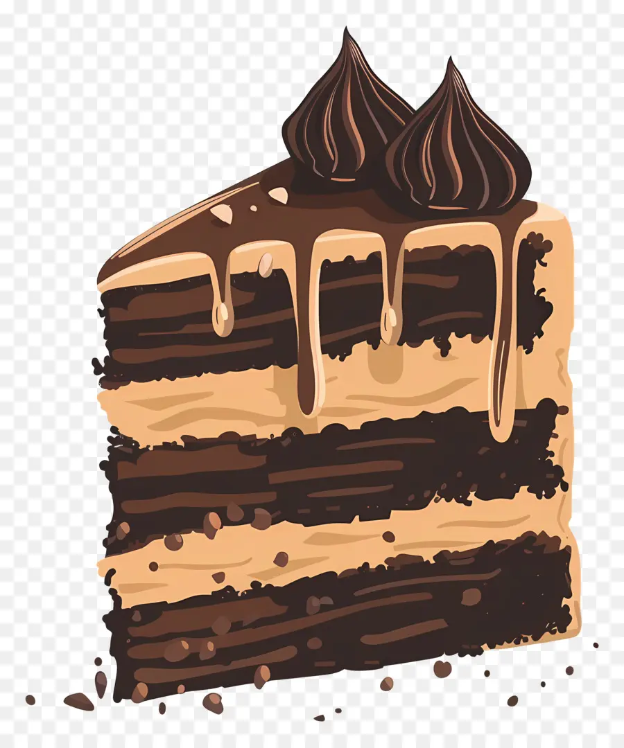 Gâteau Au Chocolat，Gâteau Tiramisu PNG