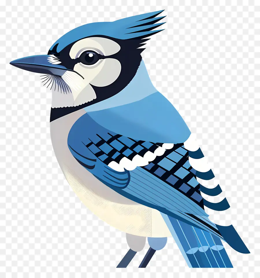 Geai Bleu，Oiseau Bleu PNG