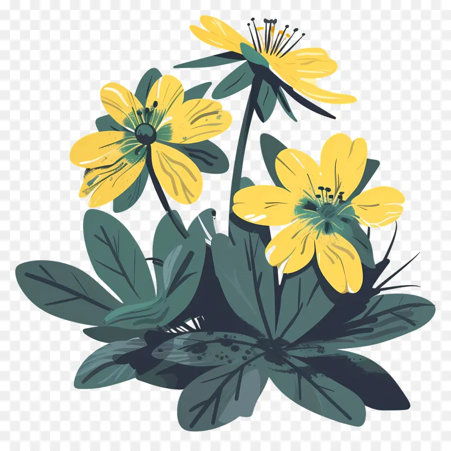 Aconit D'hiver，Fleurs Jaunes PNG