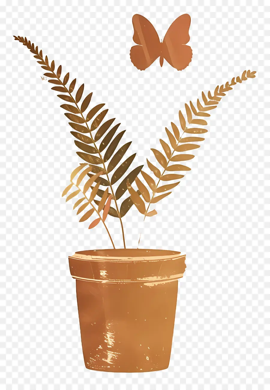 Fougère，Plante En Pot PNG