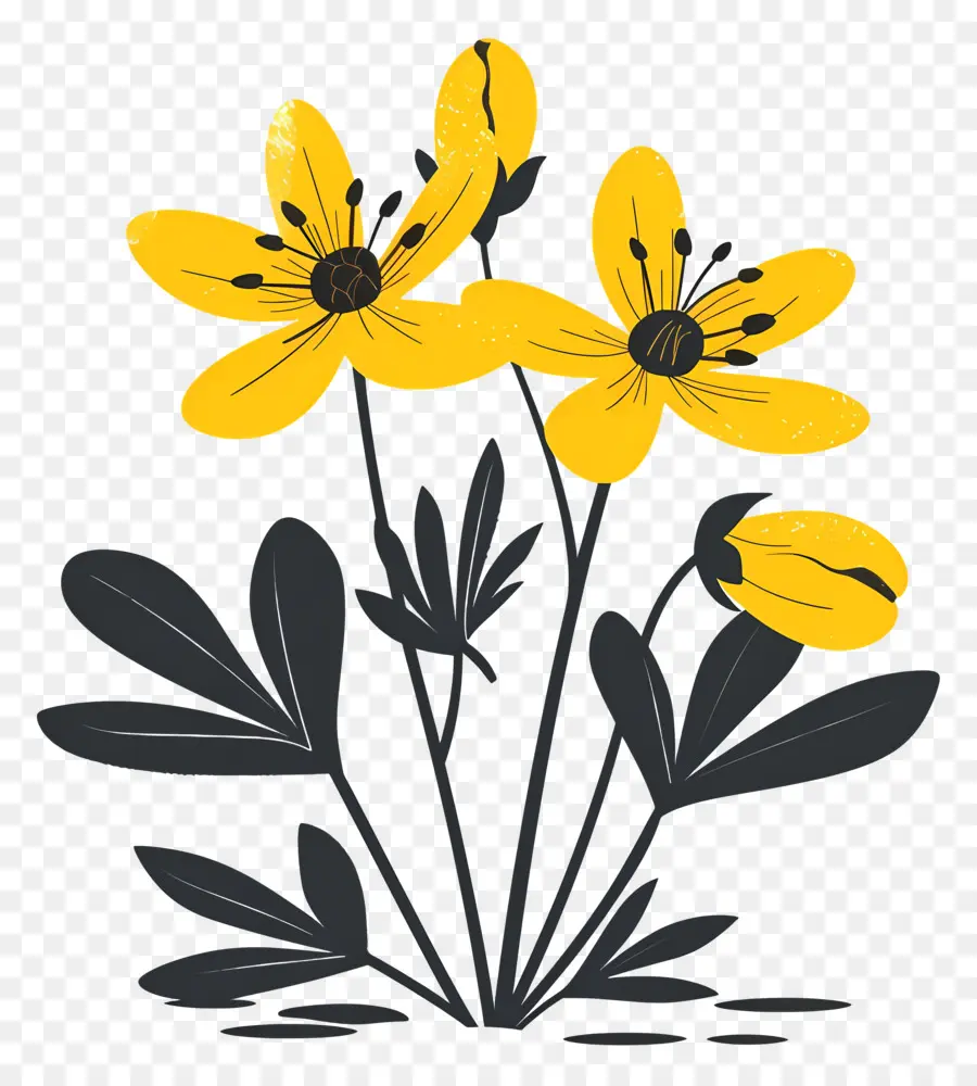 Aconit D'hiver，Fleurs Jaunes PNG