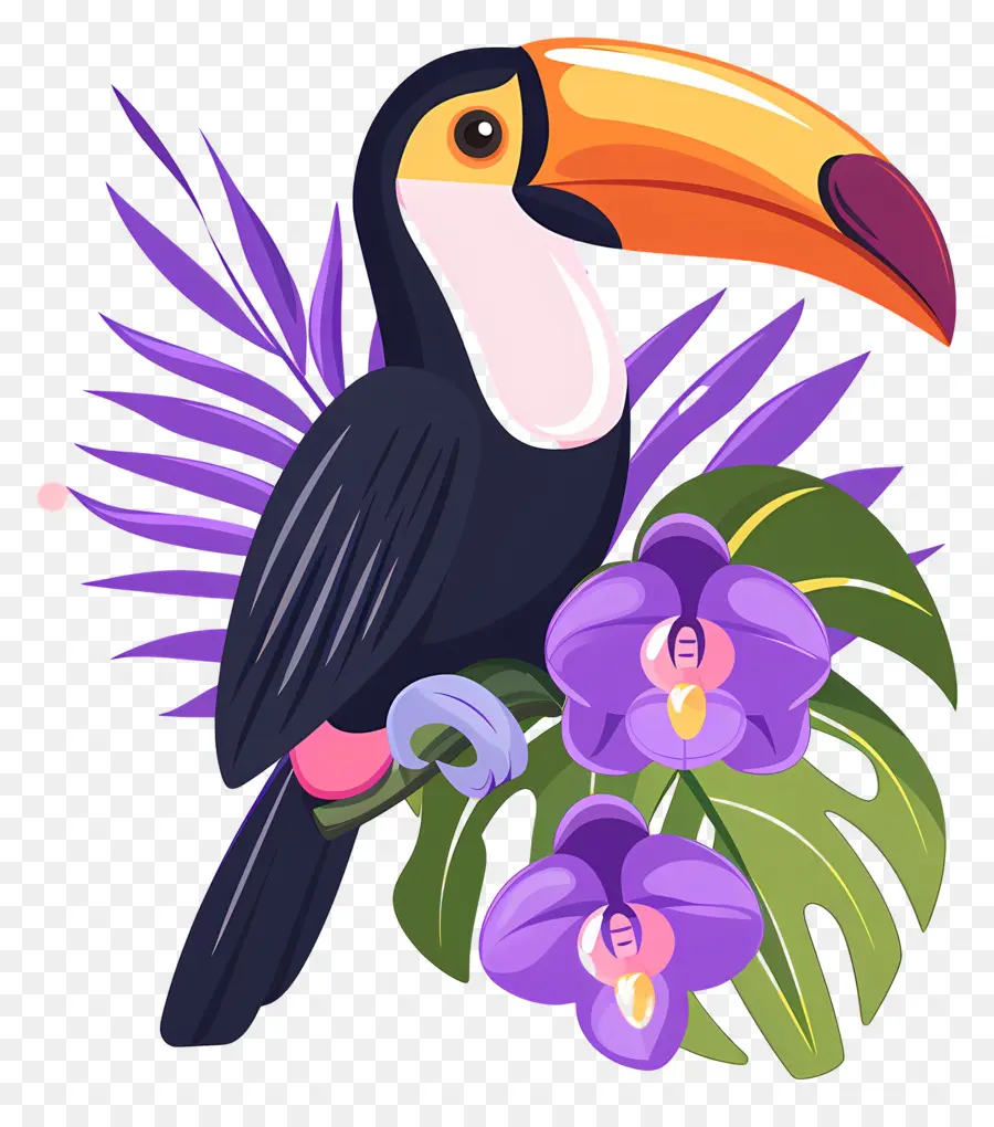 Toucan，Fleurs PNG