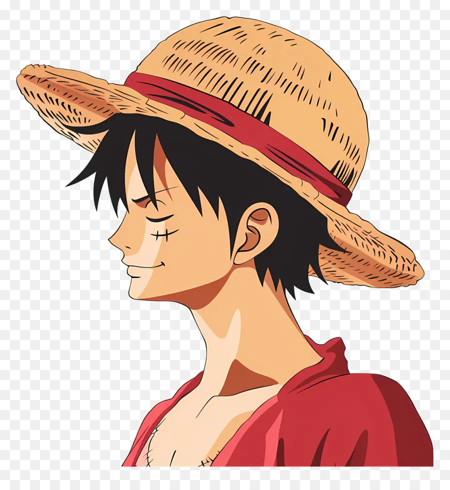 Tête De Luffy，Personnage De Chapeau De Paille PNG