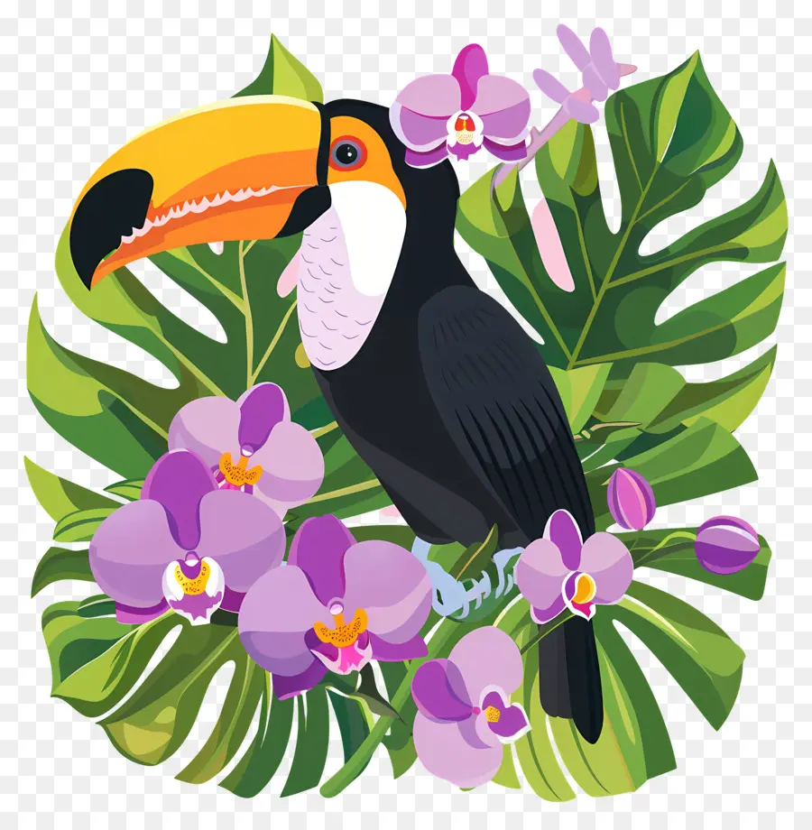 Toucan，Fleurs PNG