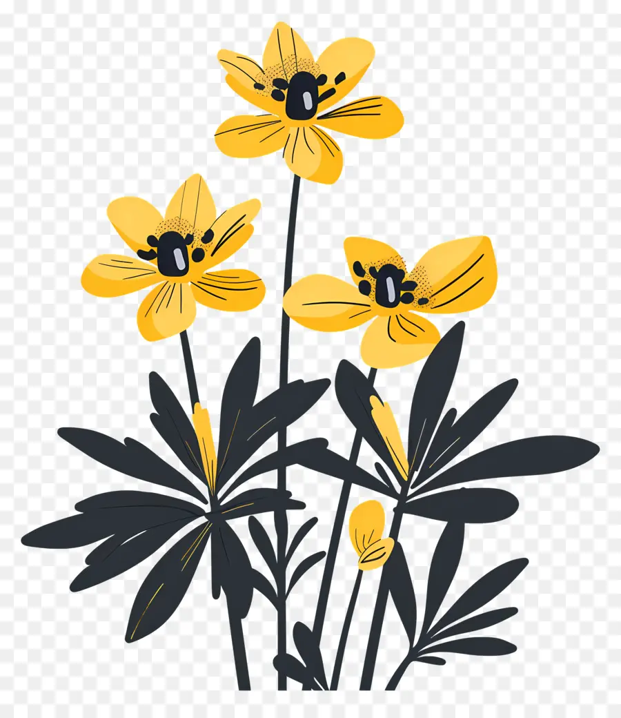 Aconit D'hiver，Fleurs Jaunes PNG